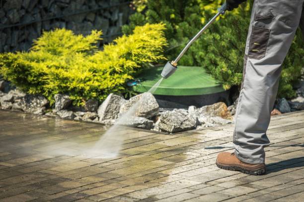Best Roof Cleaning and Mildew Removal in Georgiana, AL