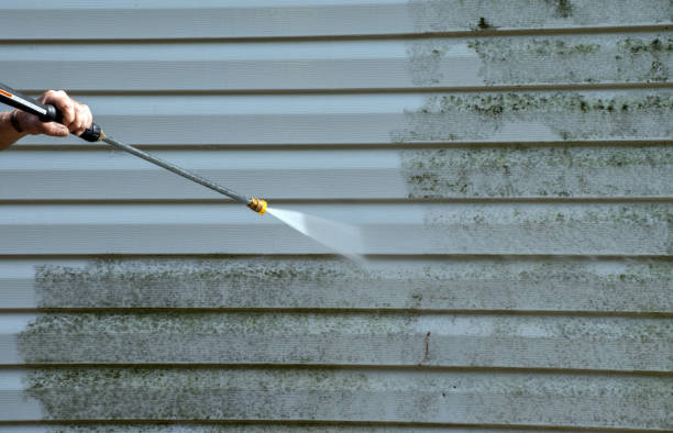 Professional Pressure Washing Services in Georgiana, AL